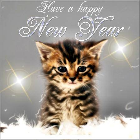 have-a-happy-new-year-kitten-graphic